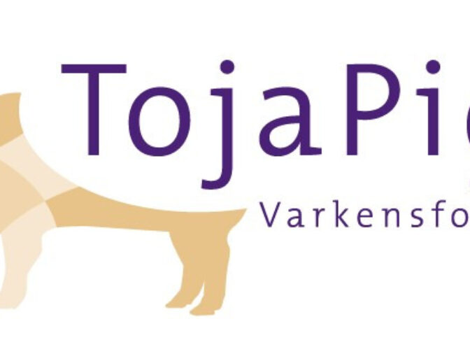Tojapigs Escharen