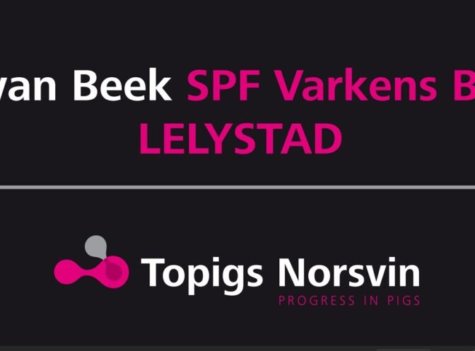 Van Beek SPF Varkens B.V.