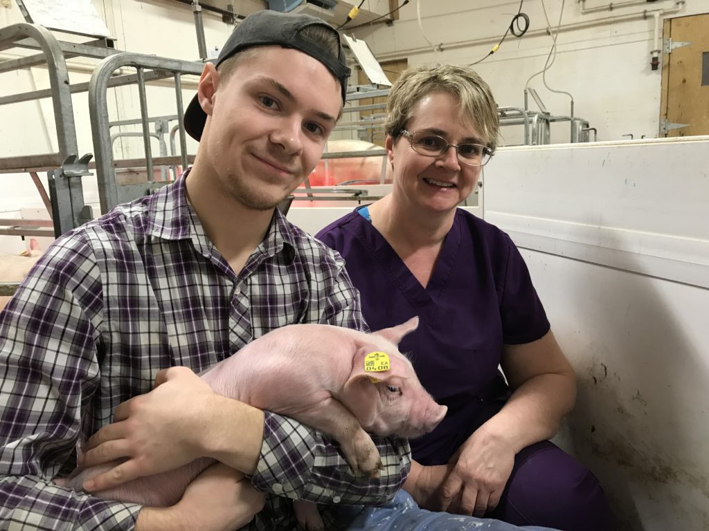 40 million pigs in Topigs Norsvin’s breeding database Pigbase